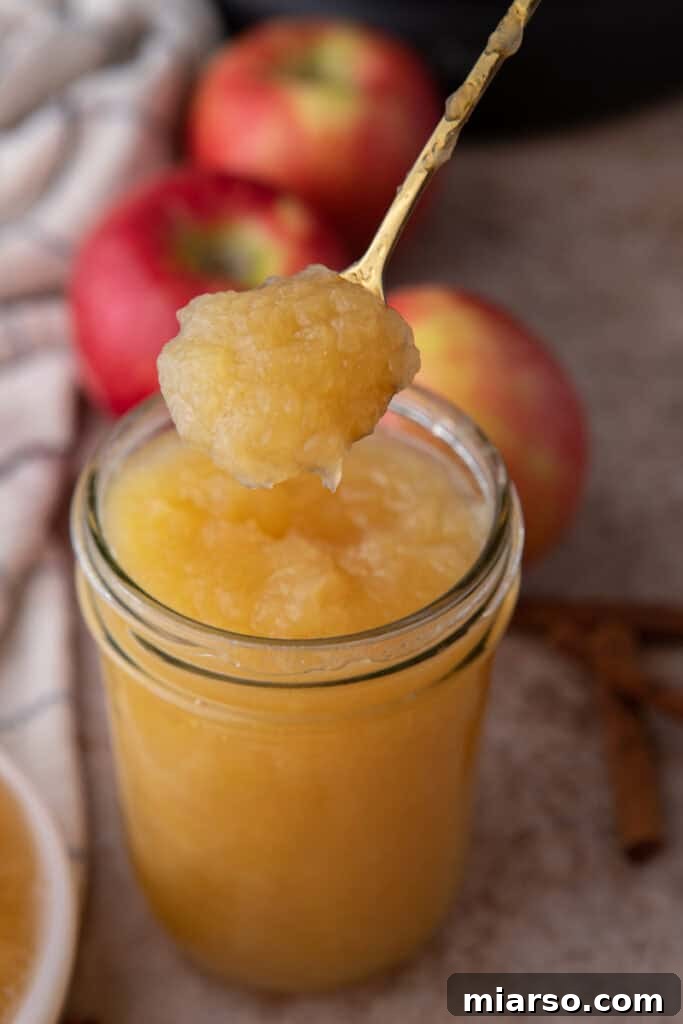 Effortless Instant Pot Applesauce Perfection 9 instant pot apple sauce in a spoon, ready to be served