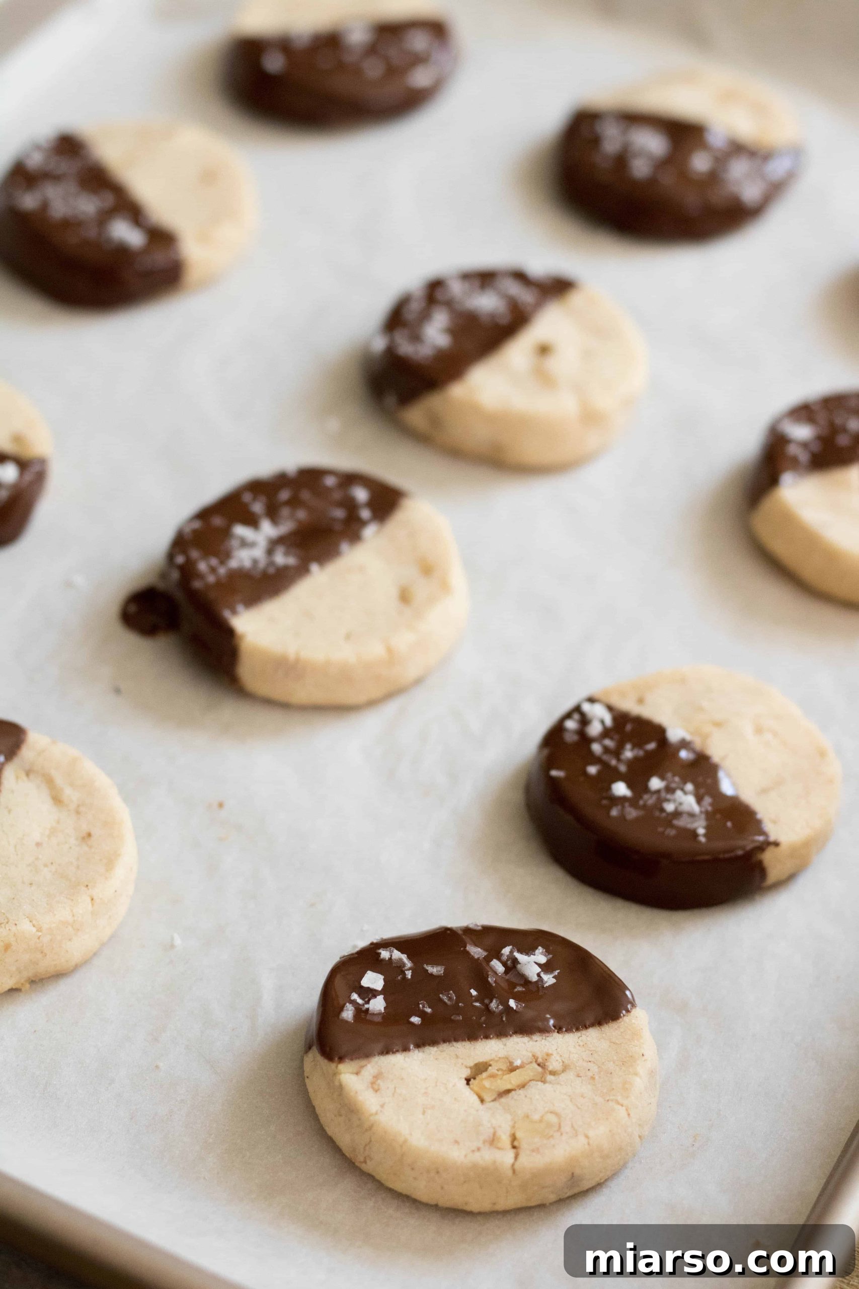 Sweet Serenity: 20 Baking Recipes for Stress Relief 14 chocolate walnut cut and bake cookies to make when stressed