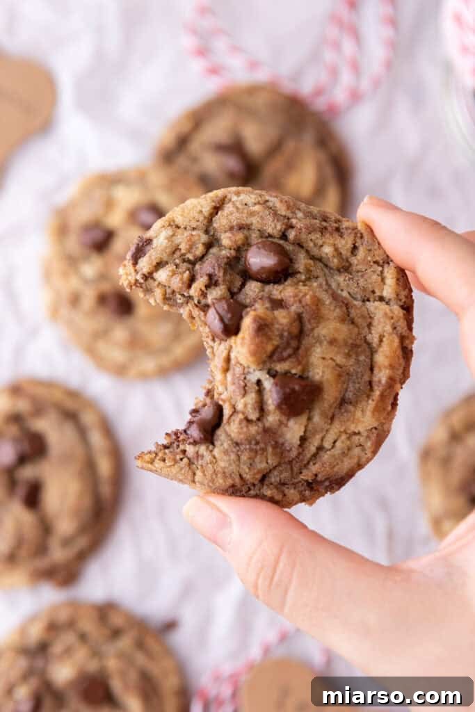 A baked chocolate chip cookie made from the mix in a jar, shown up close