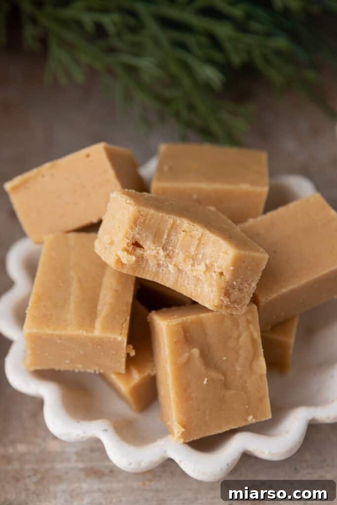 Effortless Microwave Peanut Butter Fudge 2 Delightful squares of microwave peanut butter fudge on a white plate, showcasing their rich color and smooth texture.