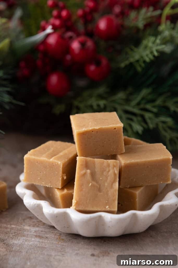 Effortless Microwave Peanut Butter Fudge 12 A stunning close-up of microwave peanut butter fudge squares artfully arranged on a white plate, ready to be served.