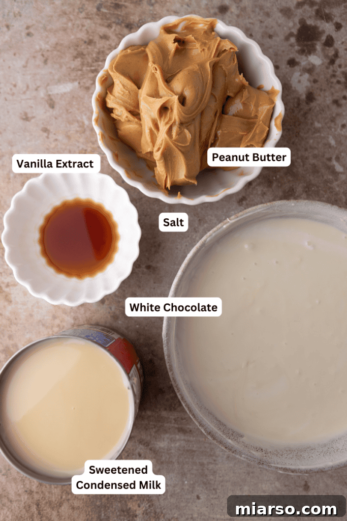 Effortless Microwave Peanut Butter Fudge 3 Close-up of the simple ingredients for microwave peanut butter fudge laid out, including peanut butter, sweetened condensed milk, white chocolate chips, and vanilla extract.