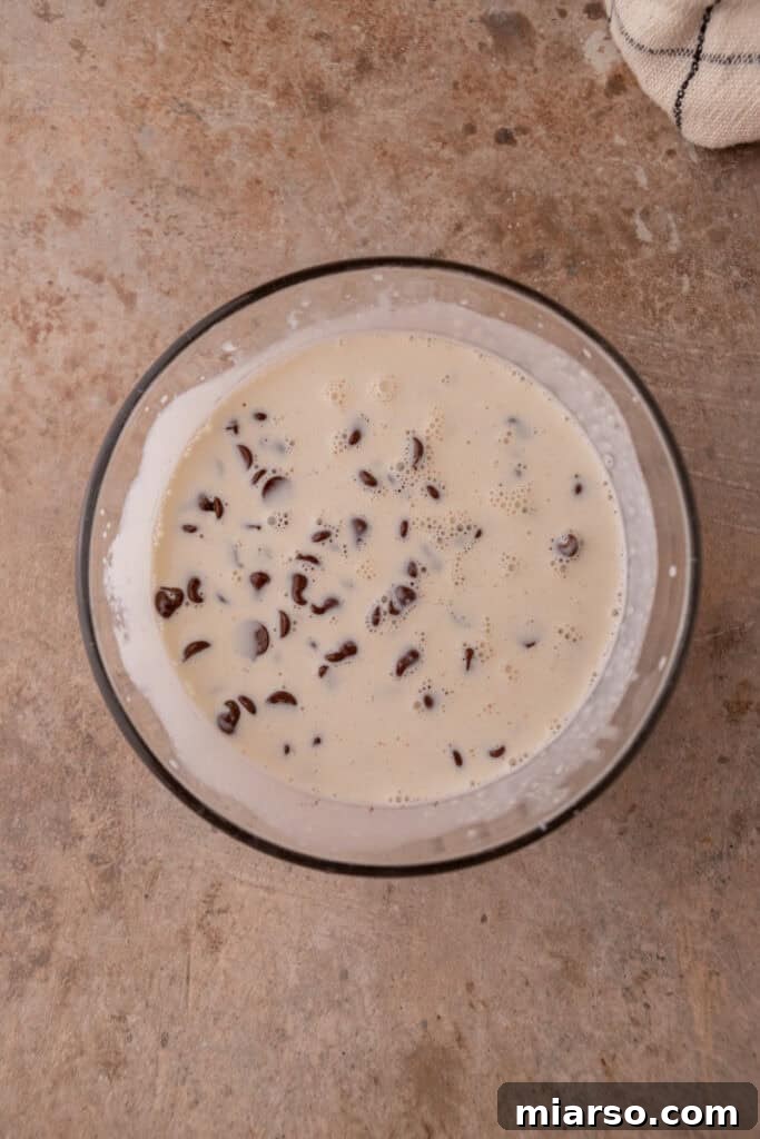 Unmixed cream cheese, granulated sugar, cocoa powder, and vanilla extract in a bowl for the cheesecake filling.