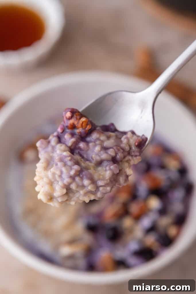 A spoon lifting creamy, perfectly cooked steel cut oats from a bowl, showcasing their hearty texture, cooked in an Instant Pot.