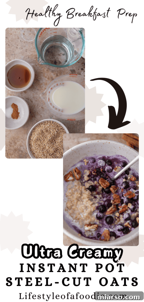 A horizontal image showcasing creamy Instant Pot steel-cut oats in a bowl, highlighting their smooth texture.