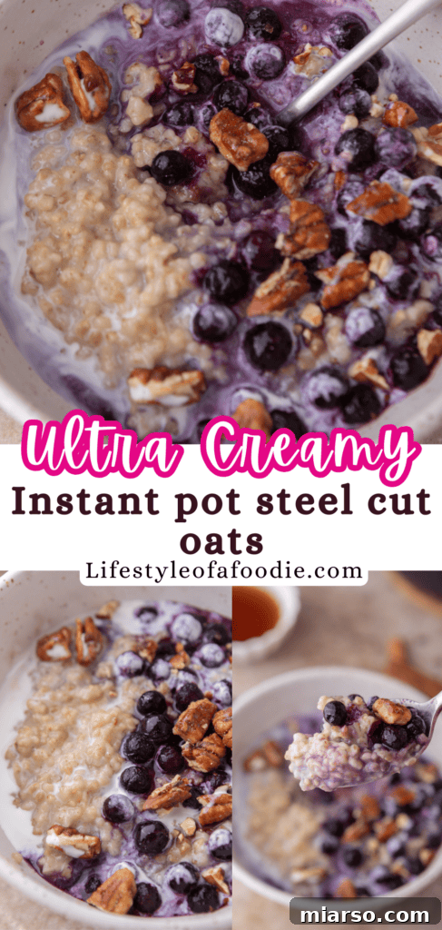 A bowl of steel cut oats with a variety of colorful toppings, demonstrating customization options.
