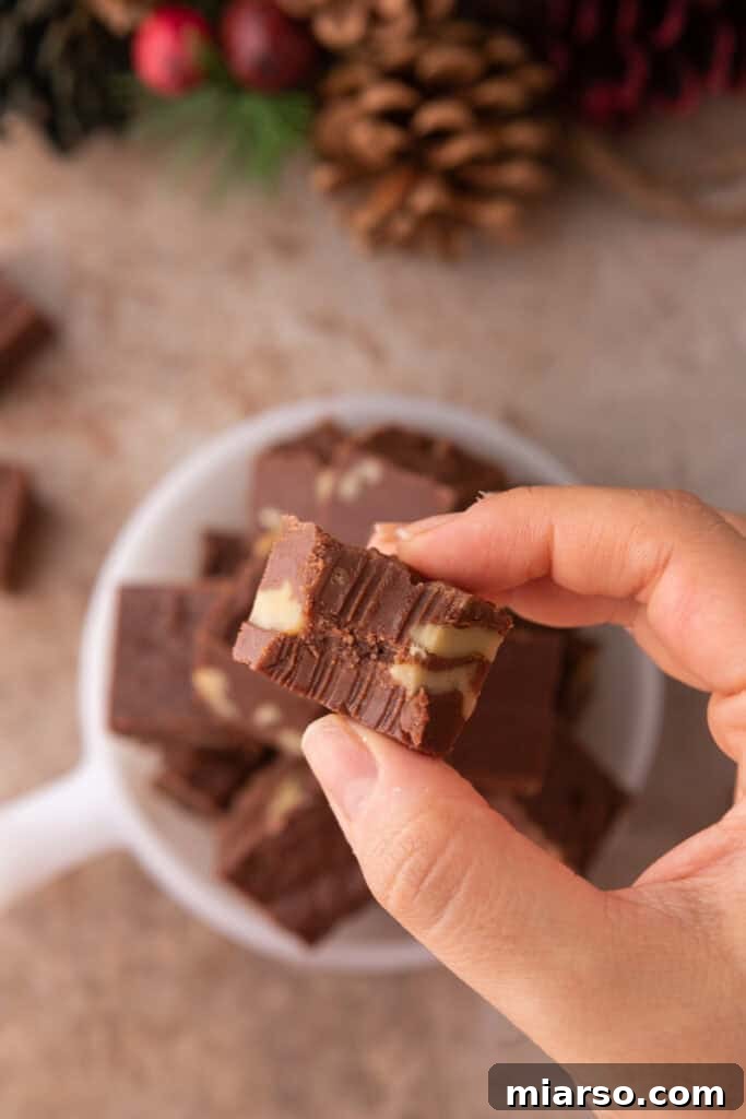 close up of see's candy fudge recipe, showcasing the rich texture and deliciousness