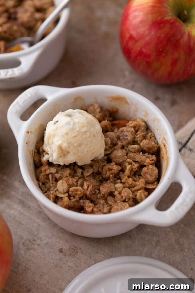 A generous serving of Microwave Apple Crisp for One in a bowl, topped with a melting scoop of vanilla ice cream.