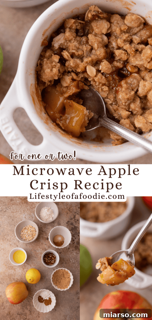 Microwave Apple Crisp for One recipe Pinterest pin image showcasing a delightful mug crisp.