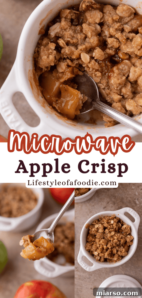 A third Pinterest pin design for the Microwave Apple Crisp for One, highlighting its quick preparation.