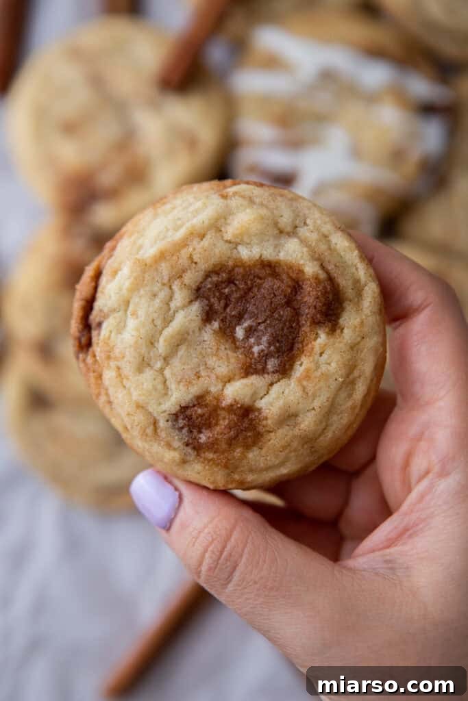 cinnamon roll sugar cookie being held up by a hand