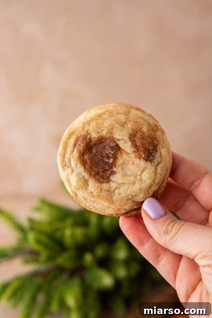 cinnamon roll sugar cookie being held up 
