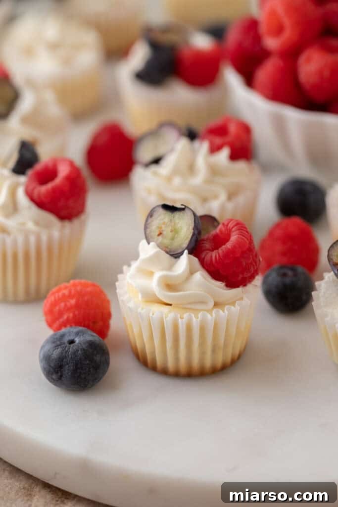 Nilla Wafer Mini Cheesecake Perfection 2 A plate filled with delicious mini cheesecakes with Nilla wafer crusts, ready to be served.