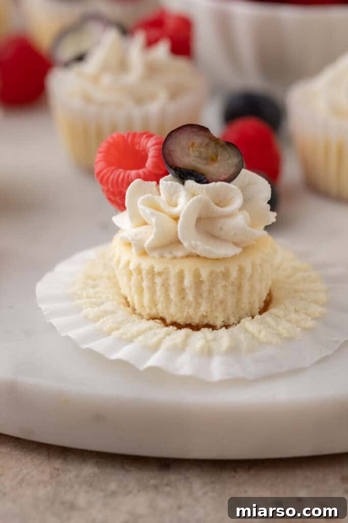 Nilla Wafer Mini Cheesecake Perfection 13 A mini cheesecake with Nilla wafer crust, unwrapped and showcasing its fully baked form, ready for a bite.