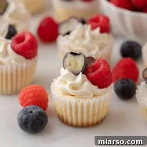 Nilla Wafer Mini Cheesecake Perfection 15 A plate of perfectly baked mini cheesecakes with Nilla wafer crusts, ready to be served or topped.