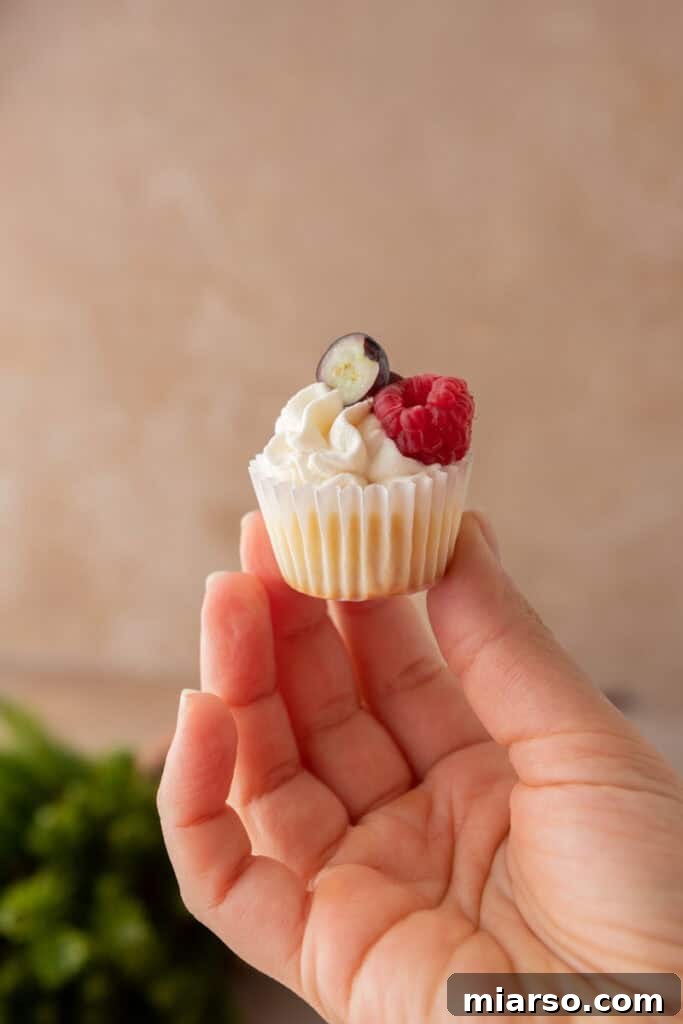 Nilla Wafer Mini Cheesecake Perfection 4 A hand gently holding a single mini cheesecake with a Nilla wafer crust, showcasing its perfect bite-sized form and creamy texture.