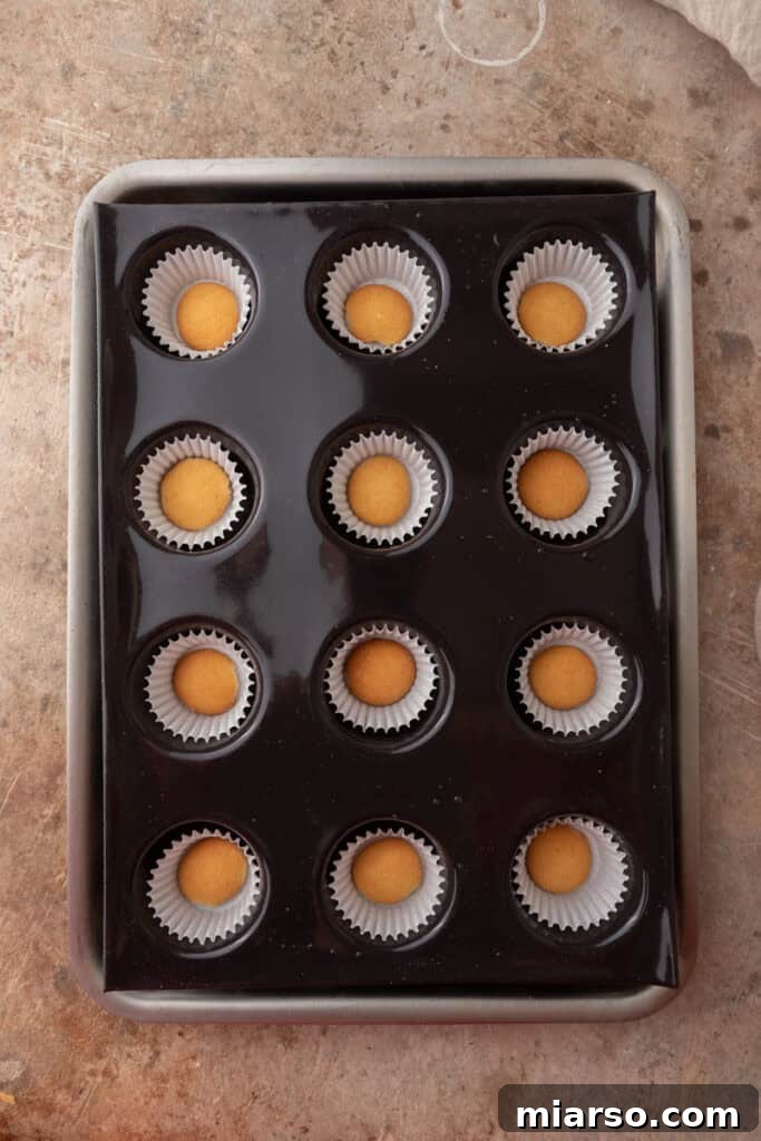 Nilla Wafer Mini Cheesecake Perfection 7 Mini Nilla wafers placed at the bottom of cupcake liners in a muffin tin, forming the crusts.
