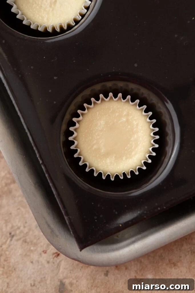 Nilla Wafer Mini Cheesecake Perfection 9 Baked mini cheesecakes, still in their cupcake liners within the muffin tin, with slightly puffy, golden tops.