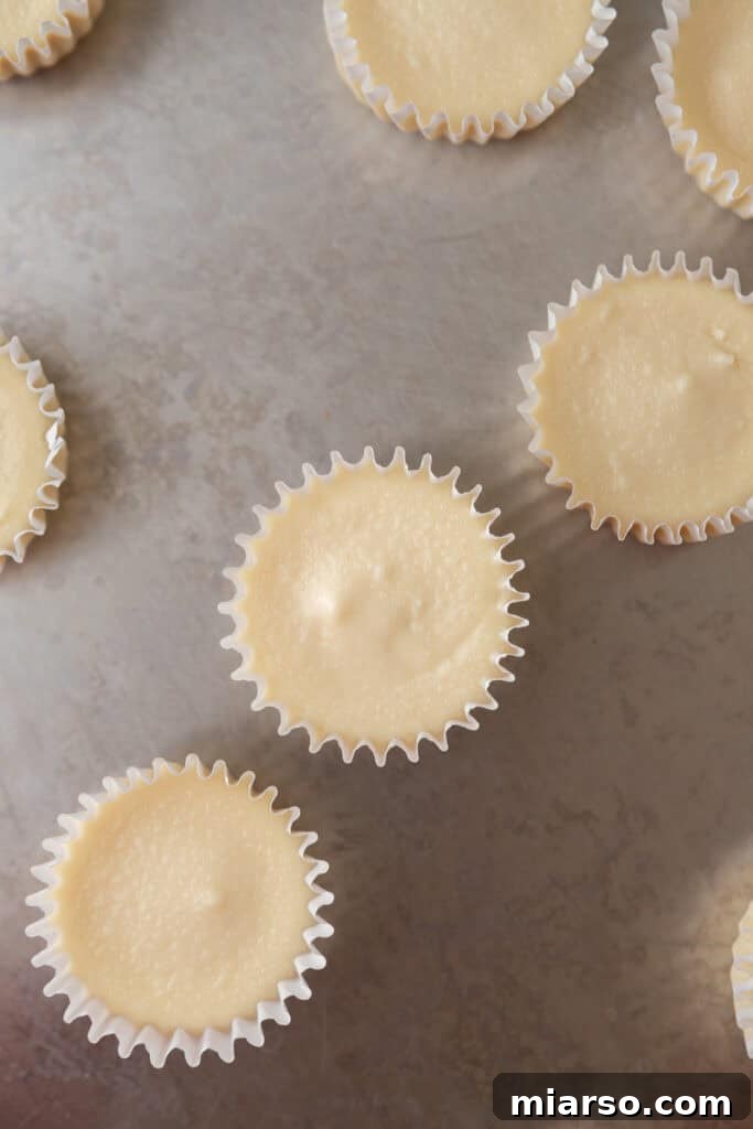 Nilla Wafer Mini Cheesecake Perfection 10 A few fully baked and cooled mini cheesecakes, unwrapped and ready to be topped or served.