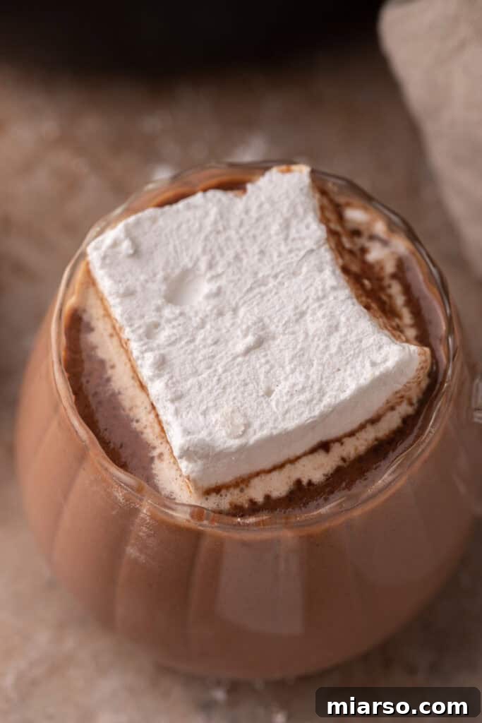 Close up of marshmallow in hot cocoa, melting slightly