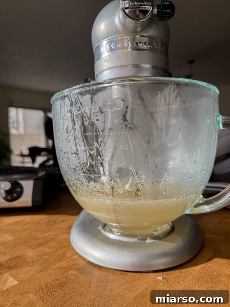 mixed ingredients in a stand mixer, starting to whip