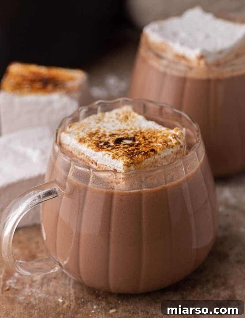 Close-up of slow cooker hot chocolate in a glass mug topped with toasted marshmallow.