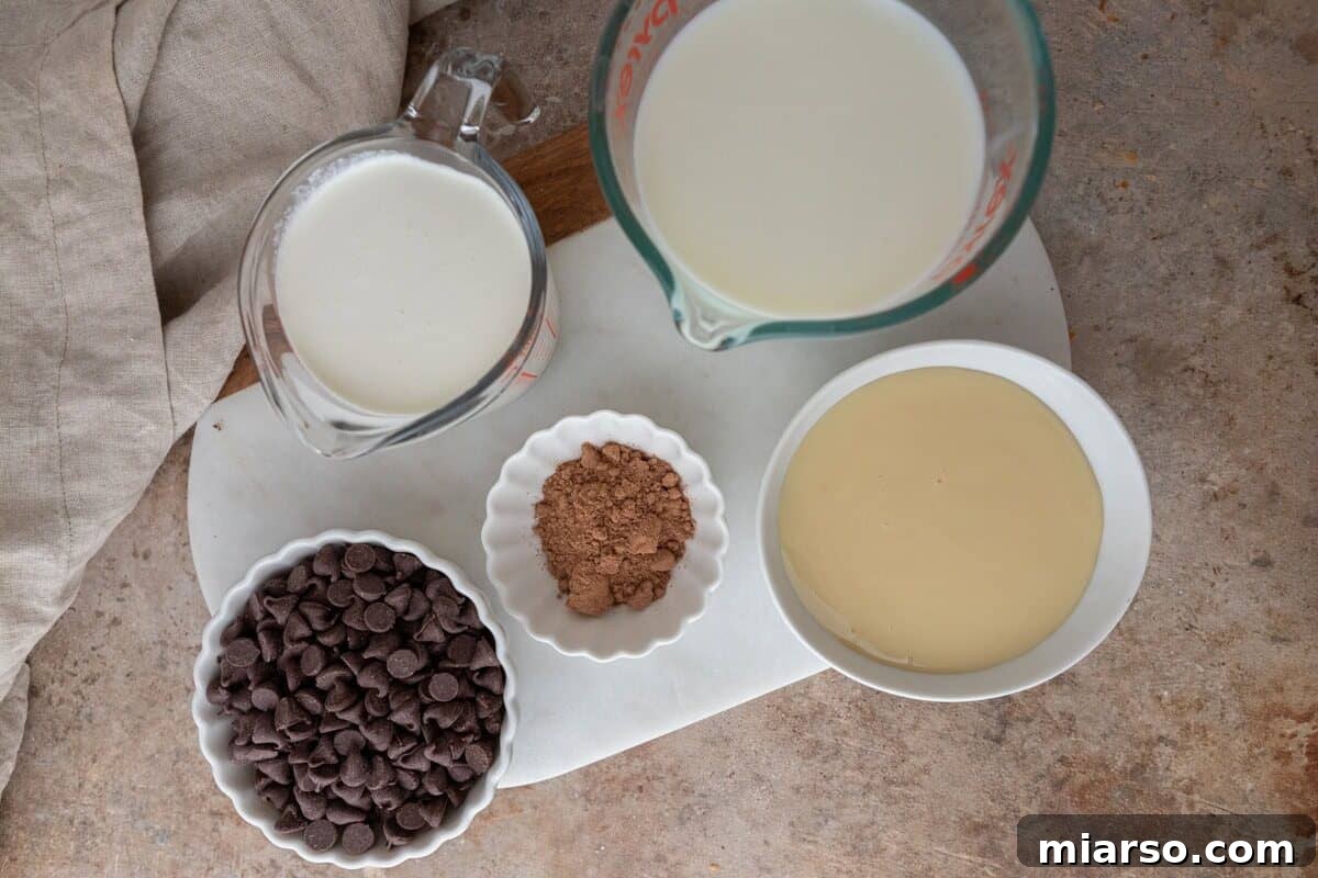 Ingredients including milk, cream, cocoa powder, chocolate chips, and sweetened condensed milk.