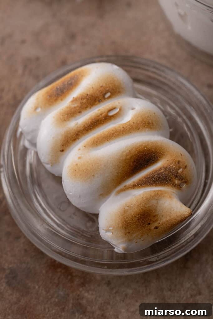 homemade marshmallow fluff recipe toasted