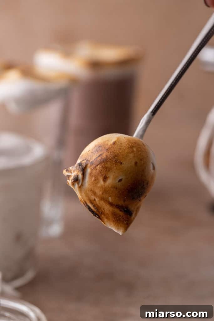 homemade marshmallow fluff recipe toasted