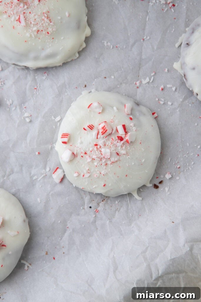 Irresistible Peppermint Bark Cookies 11 Overhead shot of chocolate cookies with white chocolate peppermint topping.