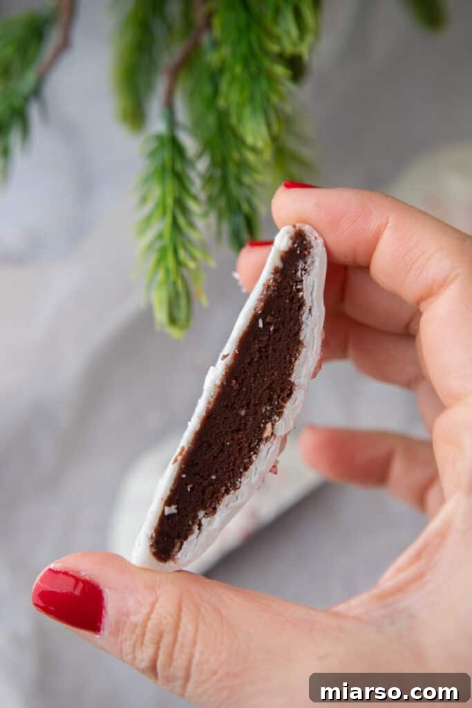 Irresistible Peppermint Bark Cookies 12 A hand holding a whole peppermint bark cookie, showcasing its topping.