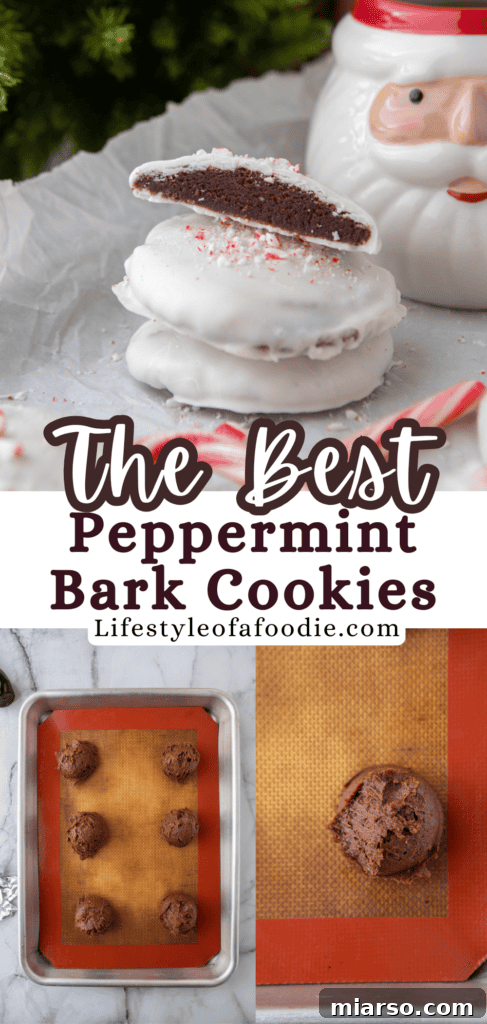 Irresistible Peppermint Bark Cookies 18 Peppermint Bark Cookies Pinterest pin featuring a close-up of the topping.