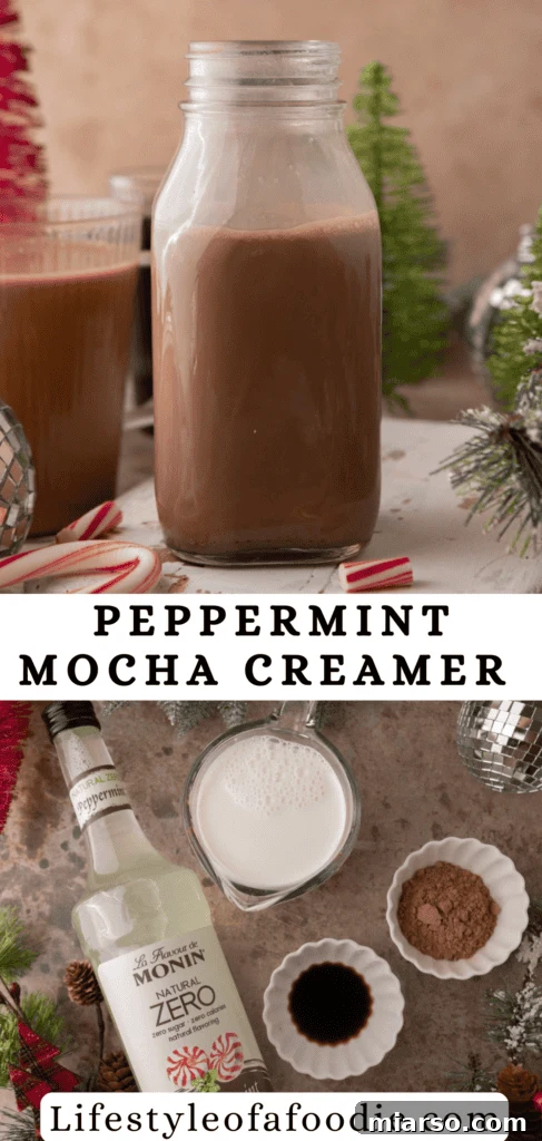 The Ultimate DIY Peppermint Mocha Creamer 13 Pin for DIY Peppermint Mocha Creamer