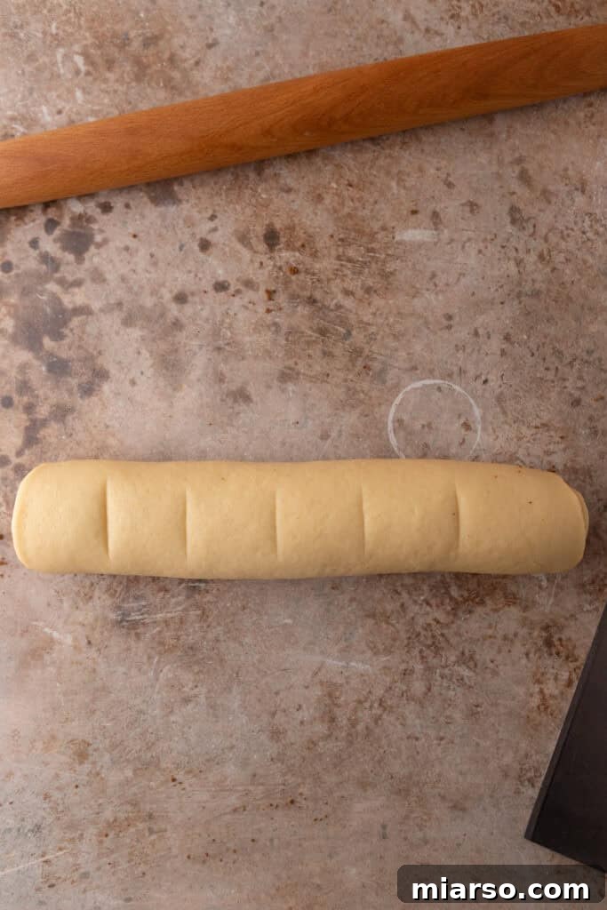 Perfect Small Batch Cinnamon Rolls 10 Tightly rolled cinnamon roll dough log with marks for cutting into six rolls.
