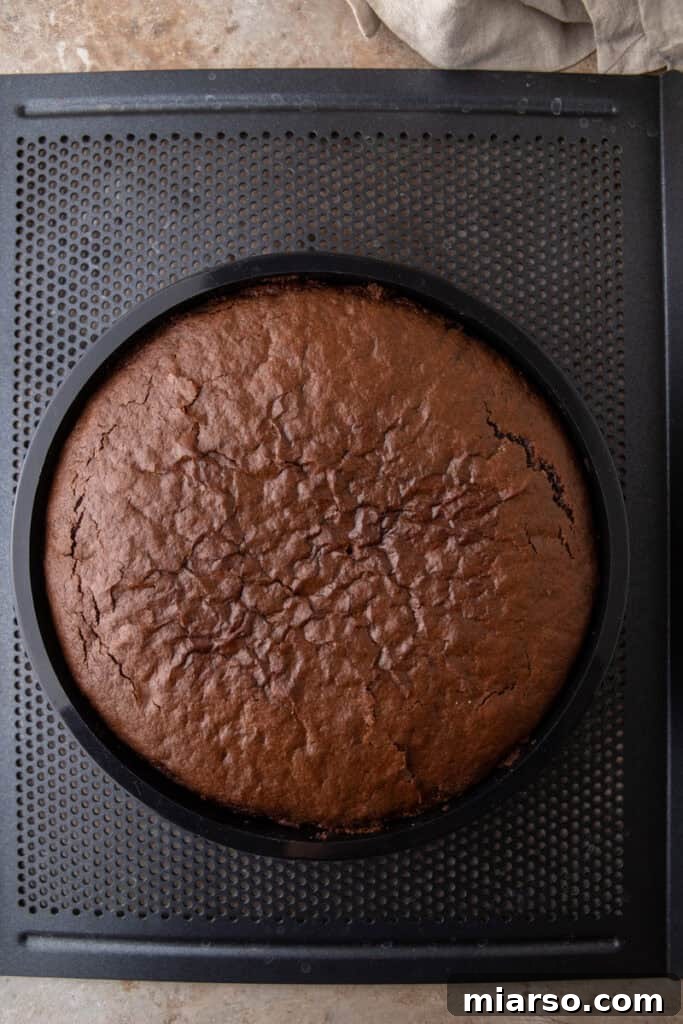 A freshly baked chocolate cake, golden brown and cooled in its mold, ready for frosting.
