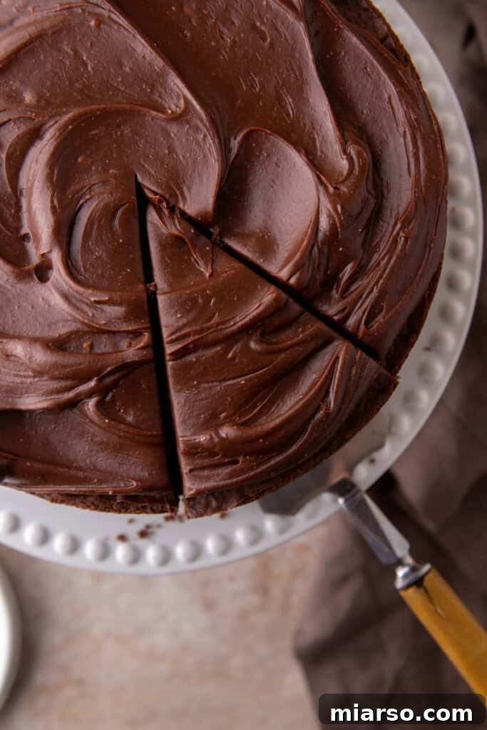 Overhead close-up shot of the Sourdough Discard Chocolate Cake, showcasing the texture of the ganache and cake surface.