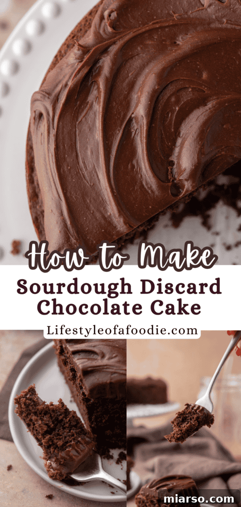 A stunning close-up of a homemade sourdough chocolate cake, ready for serving.