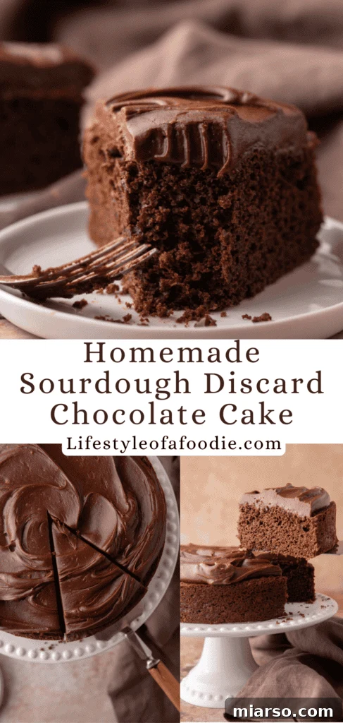 A beautifully textured homemade sourdough chocolate cake, perfect for any special occasion.