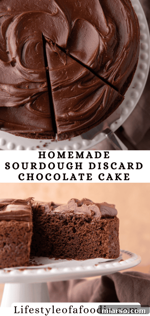 An artful shot of a homemade sourdough chocolate cake, emphasizing its rich color and inviting texture.