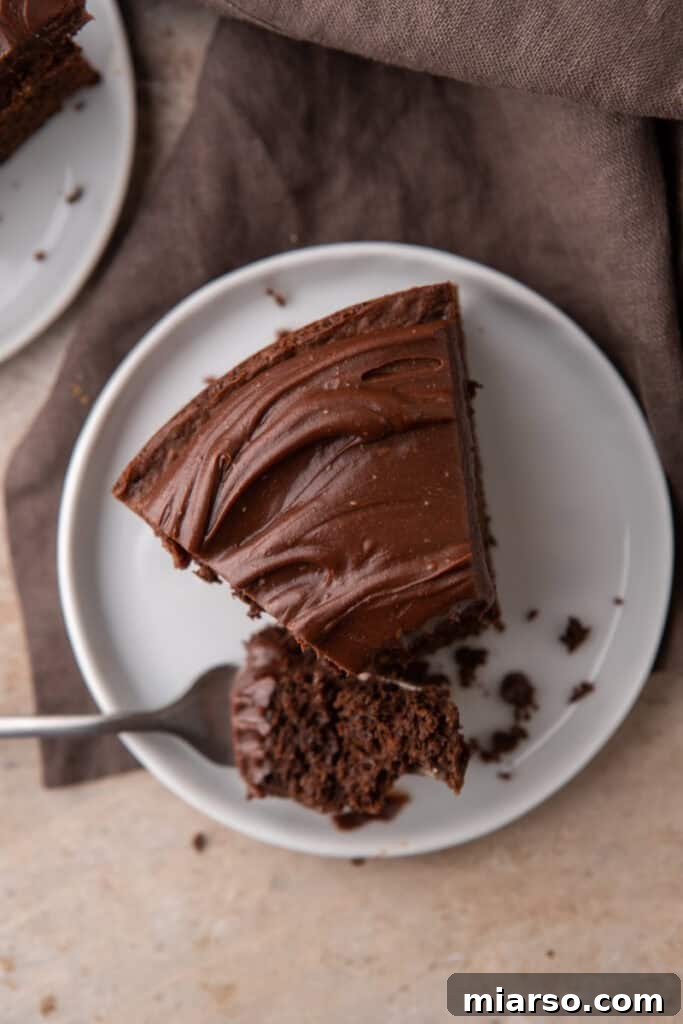 An inviting overhead shot of the finished Sourdough Discard Chocolate Cake, perfectly frosted and ready to be served.