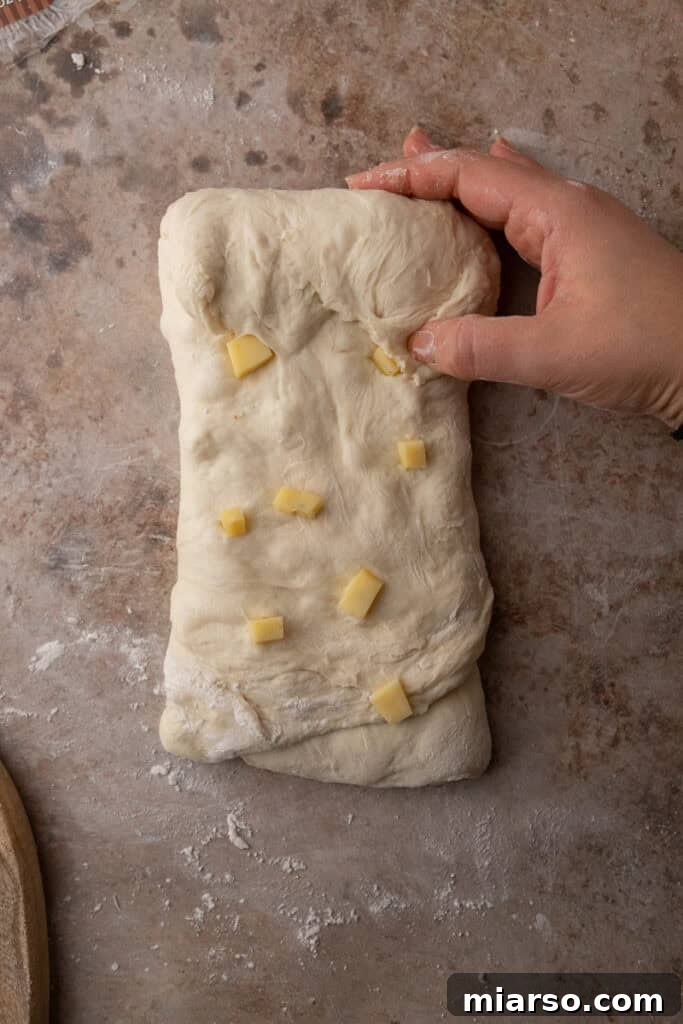 cheese on dough