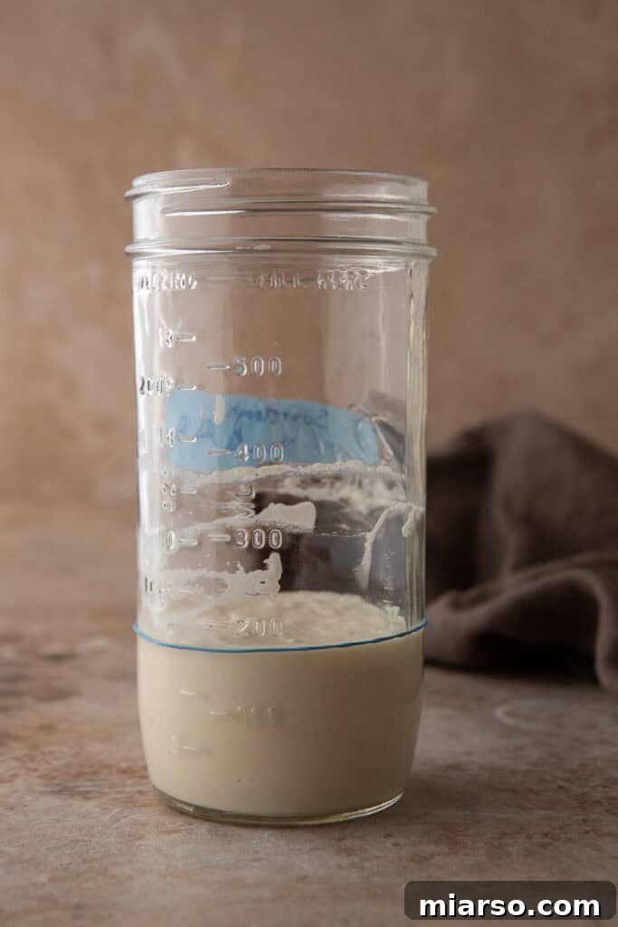 inactive starter in a jar