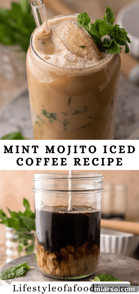 DIY Phylz Mint Mojito Iced Coffee 15 Mint Mojito Iced Coffee Recipe