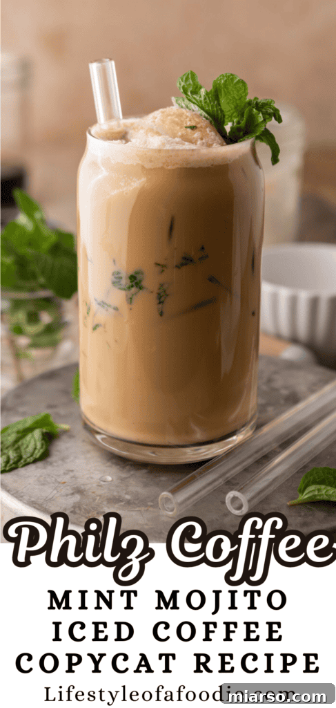 DIY Phylz Mint Mojito Iced Coffee 16 Mint Mojito Iced Coffee Recipe