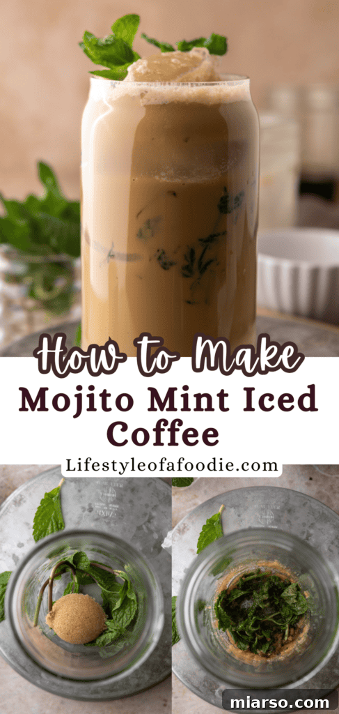 DIY Phylz Mint Mojito Iced Coffee 17 Mint Mojito Iced Coffee Recipe