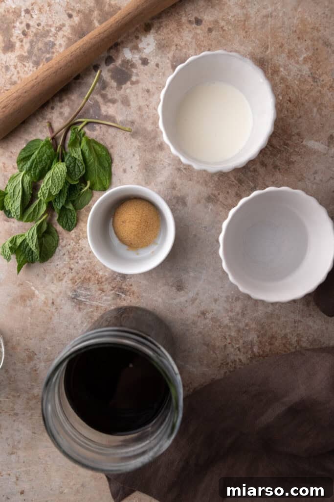 DIY Phylz Mint Mojito Iced Coffee 3 Ingredients on the counter for Mint Mojito Iced Coffee