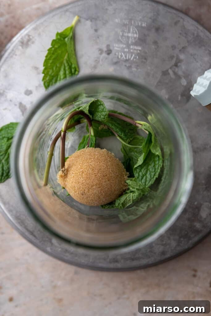 DIY Phylz Mint Mojito Iced Coffee 4 Mint and brown sugar in a cup