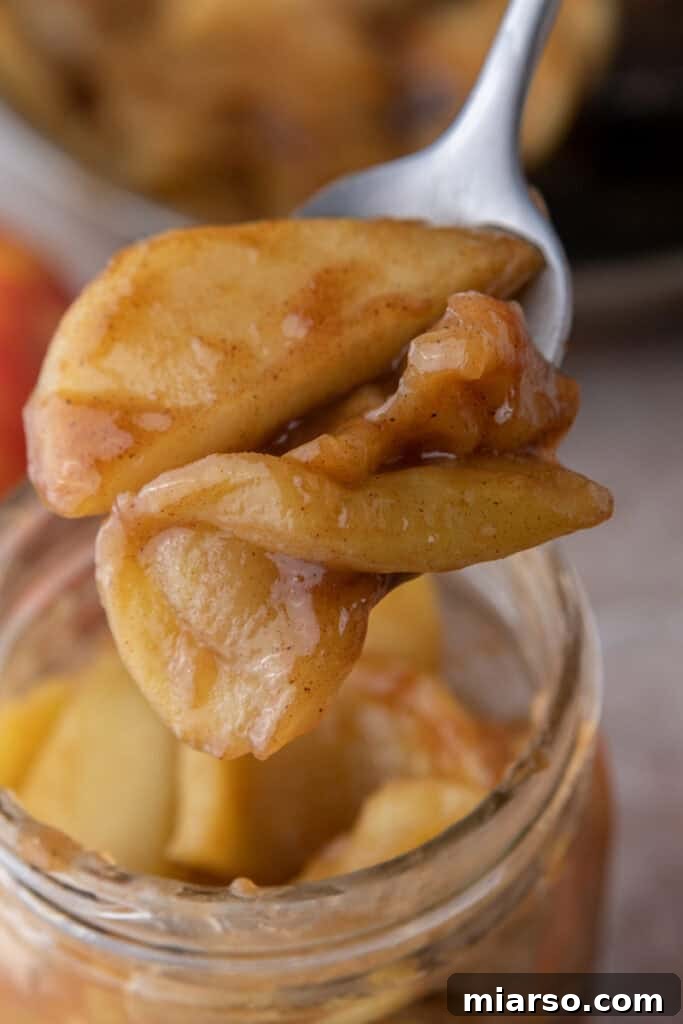 Effortless Apple Filling for Delicious Desserts 2 A spoonful of freshly made apple filling, showcasing tender apple chunks and rich, spiced sauce.