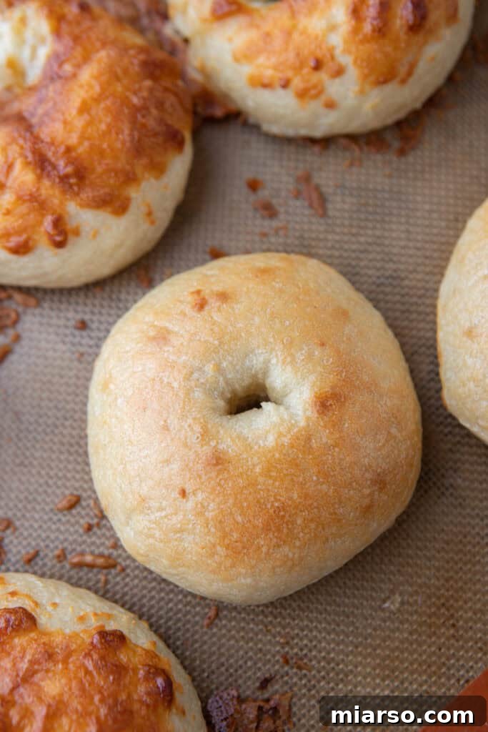 overhead shot of the sourdough bagels recipe
