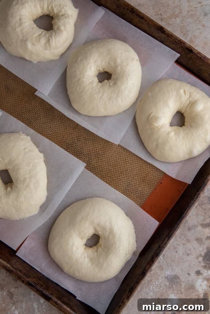 pieces resting on parchment